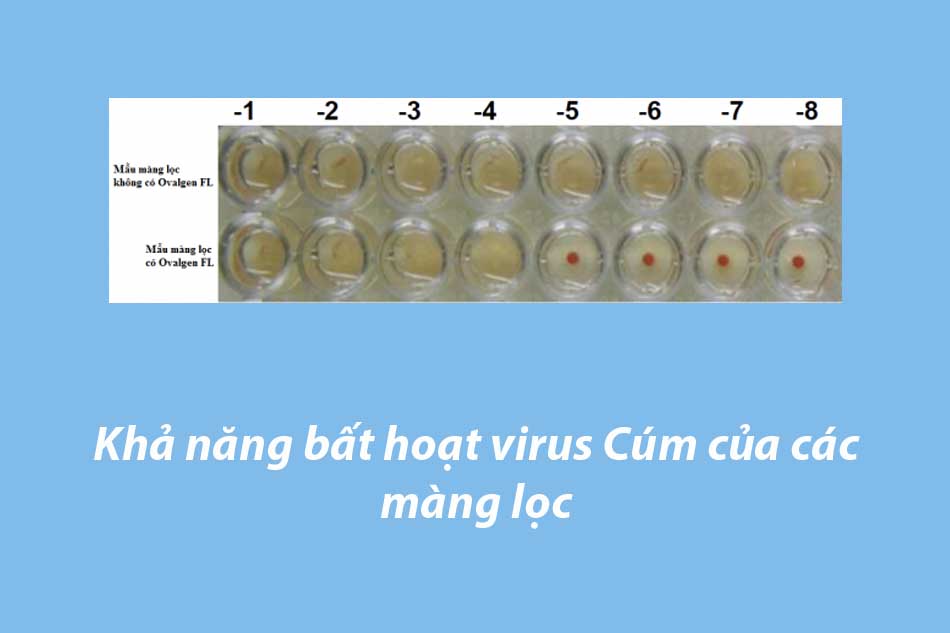 Khả năng bất hoạt virus Cúm của các màng lọc