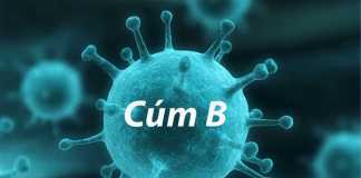 Cúm B