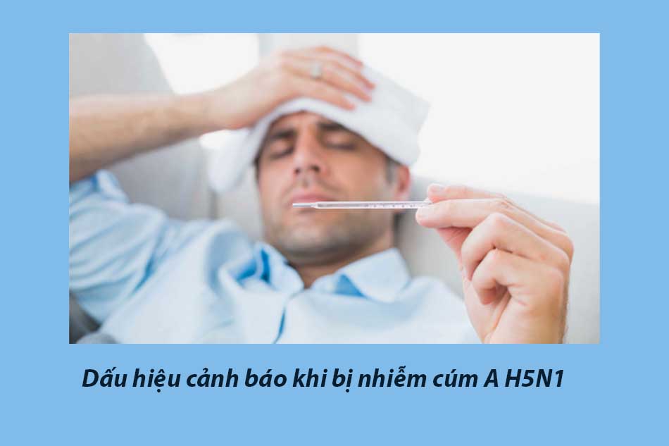 Dấu hiệu cảnh báo khi bị nhiễm cúm A H5N1