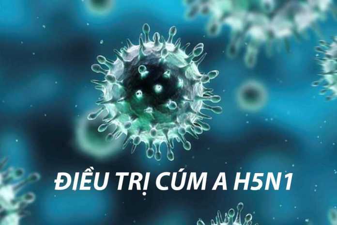 Điều trị cúm A H5N1