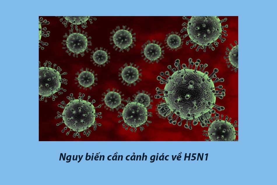 Nguy biến cần cảnh giác về H5N1