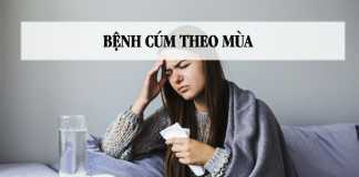 Bệnh cúm theo mùa