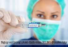 Nguy cơ bùng phát dịch cúm H1N1 ở miền Tây