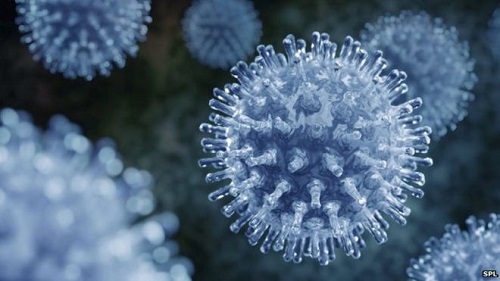 Có nhiều chủng virus gây bệnh cúm ở người. (Ảnh minh họa)