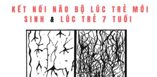 TỔNG HỢP CÁC TRÒ CHƠI GIÚP PHÁT TRIỂN NÃO BỘ MÀ CHA MẸ NÊN CHƠI CÙNG TRẺ GIAI ĐOẠN 0- 7 TUỔI