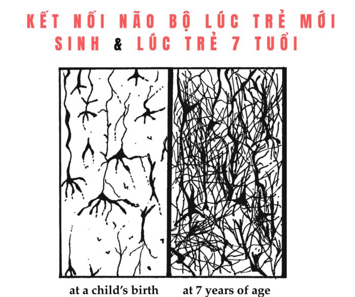 TỔNG HỢP CÁC TRÒ CHƠI GIÚP PHÁT TRIỂN NÃO BỘ MÀ CHA MẸ NÊN CHƠI CÙNG TRẺ GIAI ĐOẠN 0- 7 TUỔI