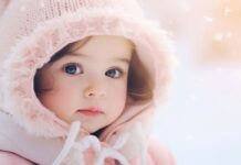 NUÔI CON LÀ HÀNH TRÌNH 6 MÙA